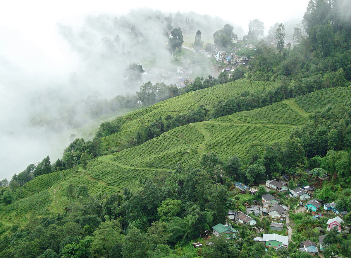 Darjeeling, West Bengal Explore the beauty of Darjeeling, West Bengal with BleisureTripClub – A trusted travel agency in Gwalior