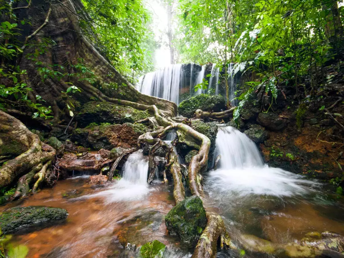 Agumbe-Karnataka Explore the scenic beauty of Agumbe, Karnataka with the Best Gwalior Travel Agency