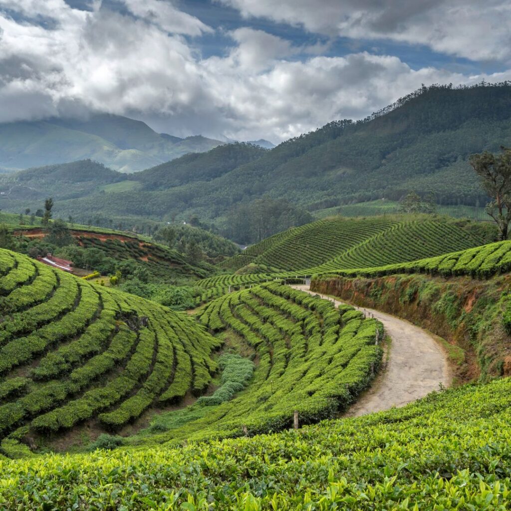 Plan your perfect Kerala trip with expert travel services from Gwalior’s best travel agency.