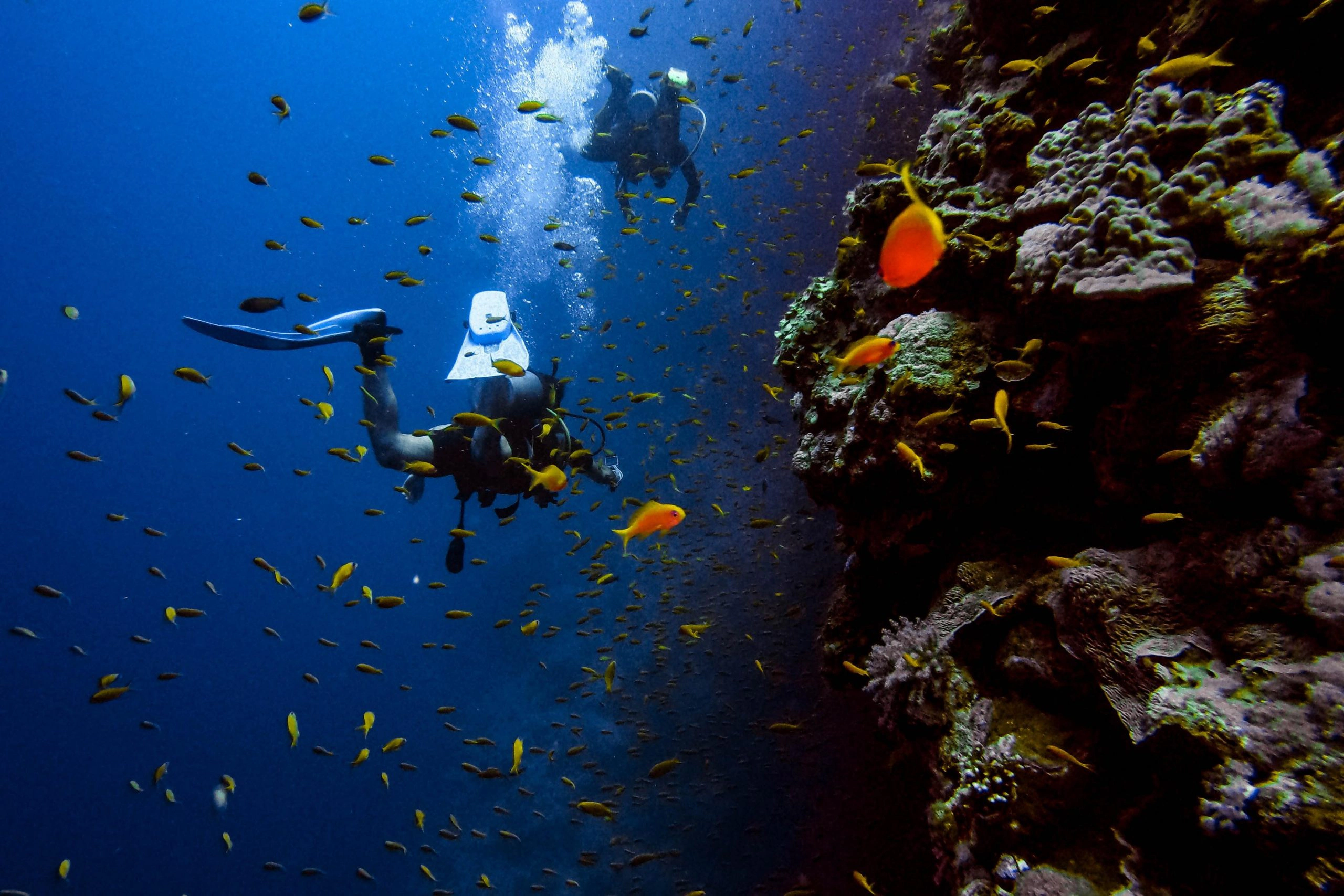 Scuba-Diving-in-Pondicherry-A-Complete-Guide-scaled Scuba-Diving-in-Pondicherry-A-Complete-Guide-scaled