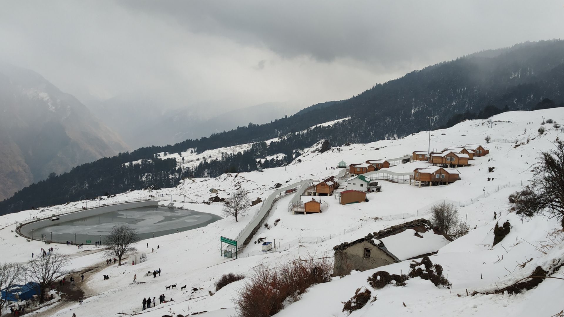 Auli
